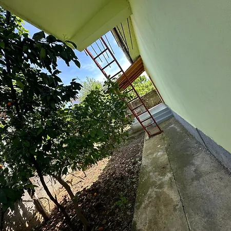 Country house Shabani